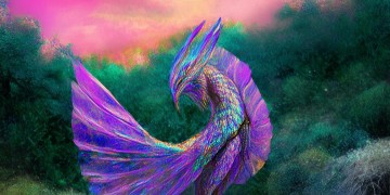 69手游梦幻该带什么宝宝呢？