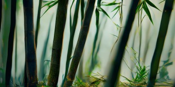 问道手游如何隐藏玩家？