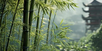 有哪些值得一玩的武侠养成手游呢？