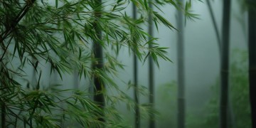 楚留香手游真的没什么好玩吗？